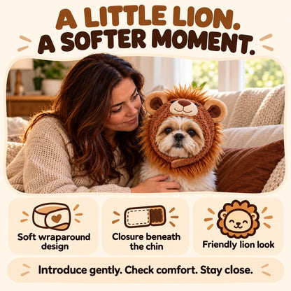 Snugmane solution infographic